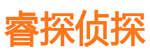 河口市调查公司